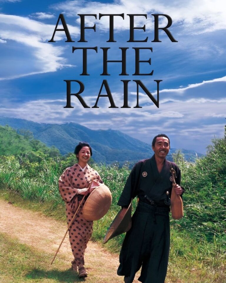 Capa do ensaio sobre Depois da Chuva